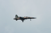 Mexican Air Force (Fuerza Aerea Mexicana) Northrop F-5E Tiger II (4510) at  Mexico City - Santa Lucia, Mexico