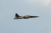 Mexican Air Force (Fuerza Aerea Mexicana) Northrop F-5E Tiger II (4510) at  Mexico City - Santa Lucia, Mexico