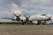 Royal Norwegian Air Force Lockheed P-3N Orion (4576) at  Kleine Brogel AFB, Belgium