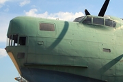 Russian Federation Navy Beriev Be-6P (4601403) at  Kiev - Igor Sikorsky International Airport (Zhulyany), Ukraine