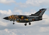 German Air Force Panavia Tornado ECR (4633) at  RAF Fairford, United Kingdom