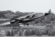 German Air Force (Luftwaffe) Panavia Tornado ECR (4636) at  Rostock-Laage, Germany