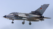 German Air Force (Luftwaffe) Panavia Tornado ECR (4649) at  Schleswig - Jagel Air Base, Germany