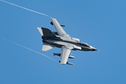 German Air Force Panavia Tornado ECR (4650) at  Schleswig - Jagel Air Base, Germany