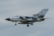 German Air Force (Luftwaffe) Panavia Tornado ECR (4654) at  Schleswig - Jagel Air Base, Germany