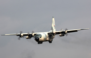 Oman Air Force Lockheed C-130H Hercules (503) at  Bournemouth - International (Hurn), United Kingdom