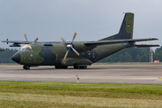 German Air Force Transall C-160D (5036) at  Hohn - NATO Flugplatz, Germany