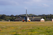 German Air Force Transall C-160D (5040) at  Hohn - NATO Flugplatz, Germany