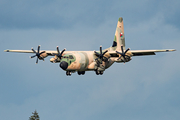 Royal Air Force of Oman Lockheed Martin C-130J Super Hercules (505) at  Hamburg - Fuhlsbuettel (Helmut Schmidt), Germany