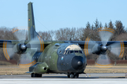 German Air Force Transall C-160D (5051) at  Hohn - NATO Flugplatz, Germany