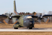 German Air Force Transall C-160D (5051) at  Hohn - NATO Flugplatz, Germany