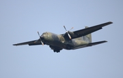 German Air Force Transall C-160D (5075) at  Detroit - Willow Run, United States