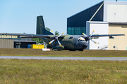 German Air Force Transall C-160D (5078) at  Hohn - NATO Flugplatz, Germany