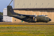 German Air Force Transall C-160D (5079) at  Hohn - NATO Flugplatz, Germany