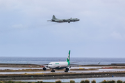German Air Force Transall C-160D (5095) at  Okinawa - Naha, Japan