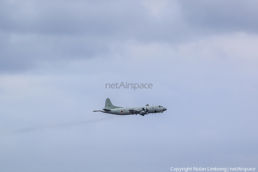 Japan Maritime Self-Defense Force Lockheed P-3C Orion (5095) | Photo 594317