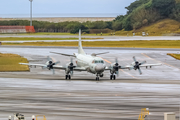 Japan Maritime Self-Defense Force Lockheed P-3C Orion (5095) at  Okinawa - Naha, Japan