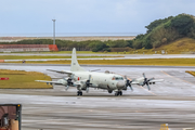 Japan Maritime Self-Defense Force Lockheed P-3C Orion (5095) at  Okinawa - Naha, Japan