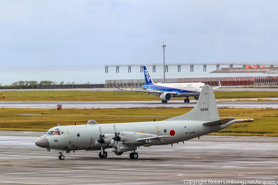 Japan Maritime Self-Defense Force Lockheed P-3C Orion (5095) | Photo 594330