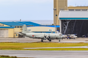 Japan Maritime Self-Defense Force Lockheed P-3C Orion (5095) at  Okinawa - Naha, Japan