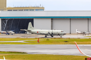 Japan Maritime Self-Defense Force Lockheed P-3C Orion (5095) at  Okinawa - Naha, Japan