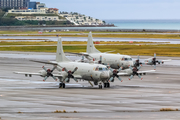 Japan Maritime Self-Defense Force Lockheed P-3C Orion (5101) at  Okinawa - Naha, Japan