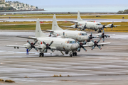 Japan Maritime Self-Defense Force Lockheed P-3C Orion (5101) at  Okinawa - Naha, Japan