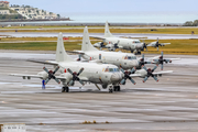 Japan Maritime Self-Defense Force Lockheed P-3C Orion (5101) at  Okinawa - Naha, Japan