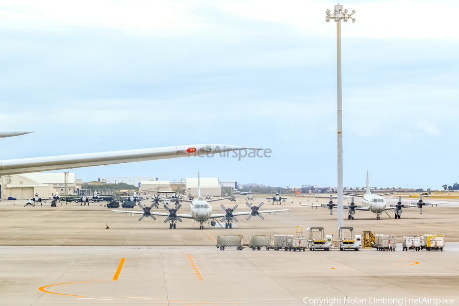 Japan Maritime Self-Defense Force Lockheed P-3C Orion (5101) | Photo 594339