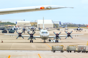 Japan Maritime Self-Defense Force Lockheed P-3C Orion (5101) at  Okinawa - Naha, Japan