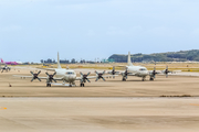 Japan Maritime Self-Defense Force Lockheed P-3C Orion (5101) at  Okinawa - Naha, Japan