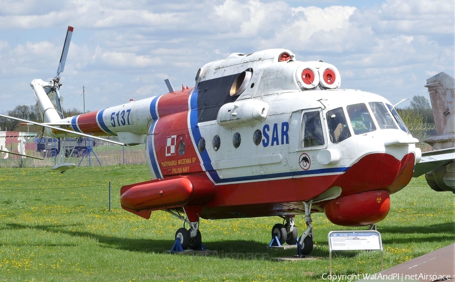 Polish Navy (Marynarka Wojenna) Mil Mi-14PS Haze-C (5137) | Photo 446365