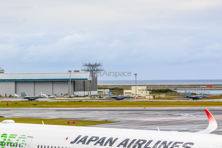 Japan Air Self-Defense Force McDonnell Douglas F-15J Eagle (52-8955) | Photo 594292