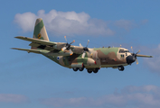 Israeli Air Force Lockheed KC-130H Karnaf (545) at  Hamburg - Fuhlsbuettel (Helmut Schmidt), Germany