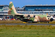 Israeli Air Force Lockheed KC-130H Karnaf (545) at  Hamburg - Fuhlsbuettel (Helmut Schmidt), Germany