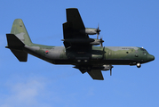 Republic of Korea Air Force Lockheed C-130H-30 Hercules (55-036) at  Seoul - East-Sinchorni, South Korea