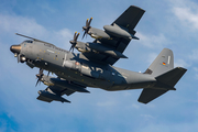 German Air Force (Luftwaffe) Lockheed Martin KC-130J Super Hercules (5504) at  Hamburg - Fuhlsbuettel (Helmut Schmidt), Germany