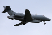 Republic of Korea Air Force BAe Systems BAe 125-800RA (58-343) at  Seoul - East-Sinchorni, South Korea