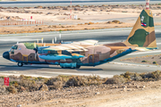 Uruguayan Air Force (Fuerza Aérea Uruguaya) Lockheed KC-130H Hercules (595) at  Gran Canaria, Spain