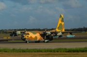 Uruguayan Air Force (Fuerza Aérea Uruguaya) Lockheed KC-130H Hercules (595) at  Natal - Governador Aluizio Alves, Brazil