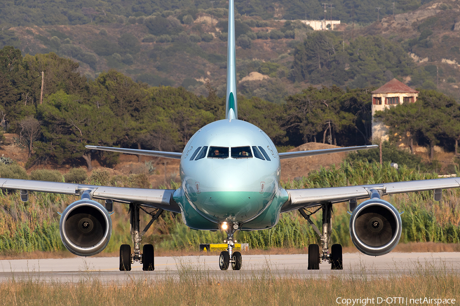 Cyprus Airways Airbus A319-114 (5B-DCX) | Photo 345403