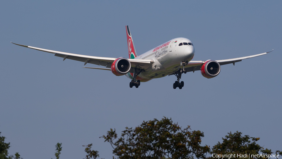 Kenya Airways Boeing 787-8 Dreamliner (5Y-KZF) | Photo 125165