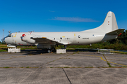 German Navy Lockheed P-3C Orion (6001) at  Nordholz/Cuxhaven - Seeflughafen, Germany