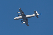 German Navy Lockheed P-3C Orion (6001) at  Hamburg - Finkenwerder, Germany