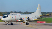 German Navy (Marineflieger) Lockheed P-3C Orion (6003) at  Hamburg - Fuhlsbuettel (Helmut Schmidt), Germany