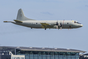 German Navy (Marineflieger) Lockheed P-3C Orion (6003) at  Hamburg - Fuhlsbuettel (Helmut Schmidt), Germany