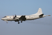 German Navy Lockheed P-3C Orion (6003) at  Hamburg - Fuhlsbuettel (Helmut Schmidt), Germany