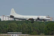 German Navy (Marineflieger) Lockheed P-3C Orion (6003) at  Berlin - Tegel, Germany