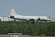 German Navy Lockheed P-3C Orion (6003) at  Berlin - Tegel, Germany