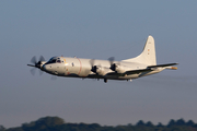 German Navy Lockheed P-3C Orion (6003) at  Hamburg - Fuhlsbuettel (Helmut Schmidt), Germany